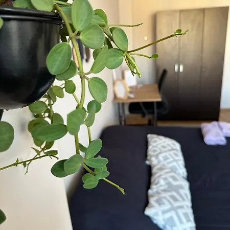 Stylish And Spacious In The Center Of Kadikoey *